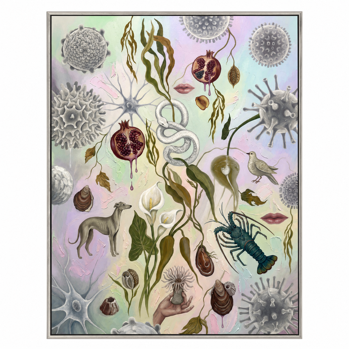 Natural Oddities