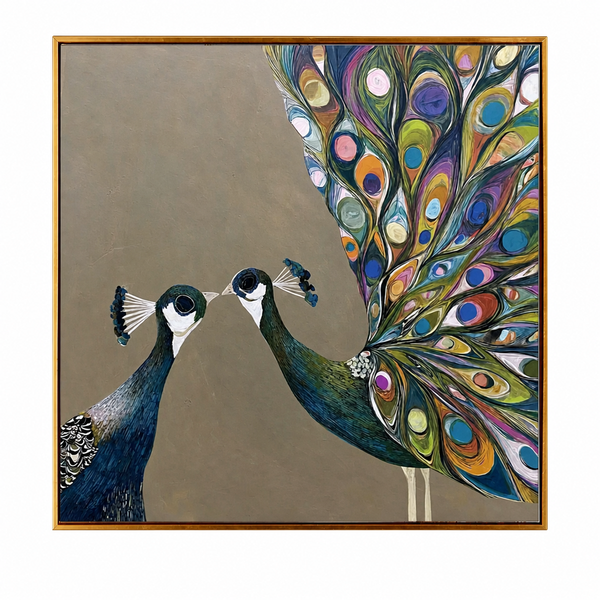 Peacock Encounter