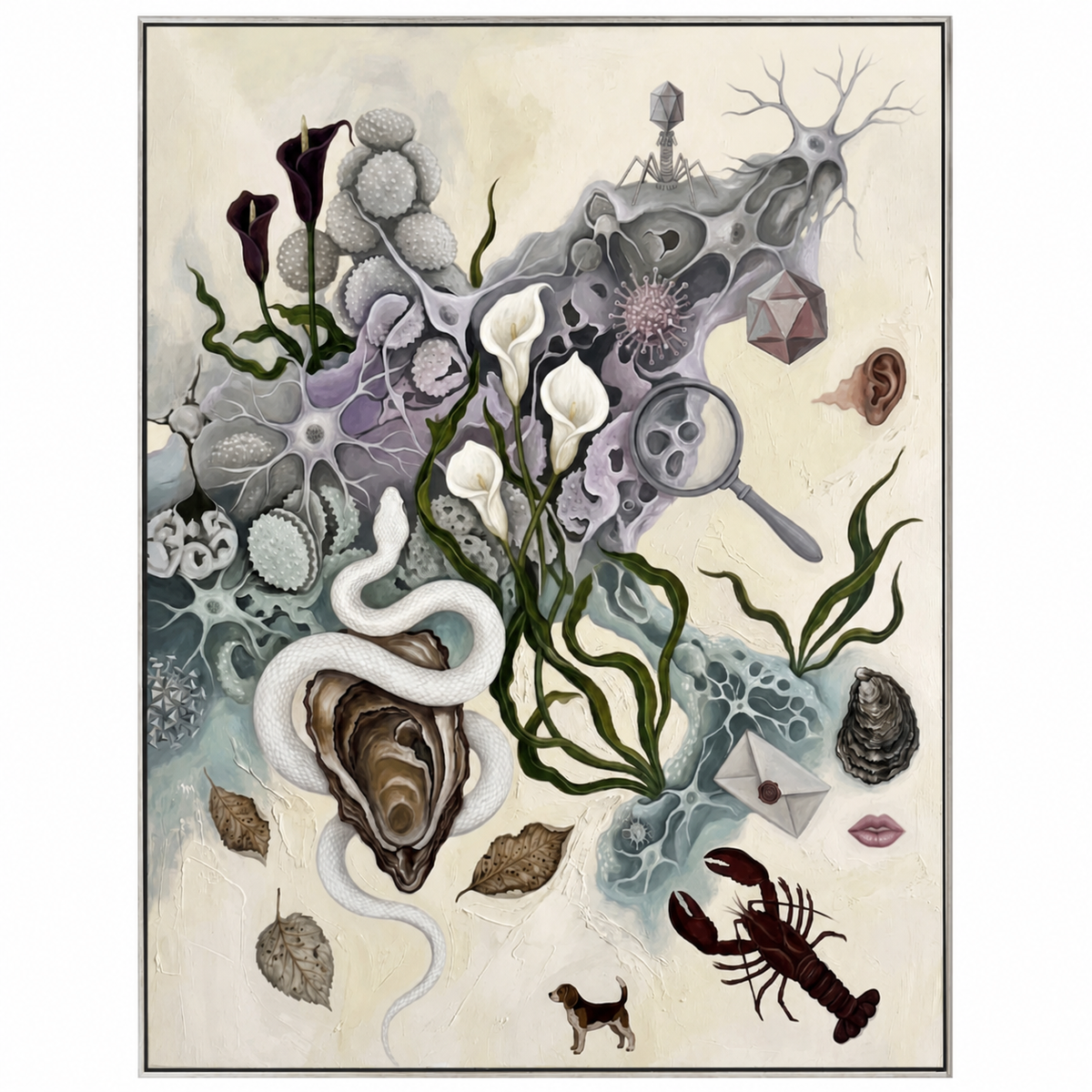 Curious Specimens